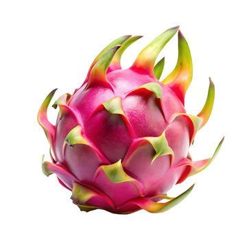 dragon fruit isolated on transparent background