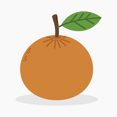 Orange fruit vector illustration isolated on white background