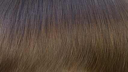 Closeup of Brunette Hair full screen created by 3D modeling.