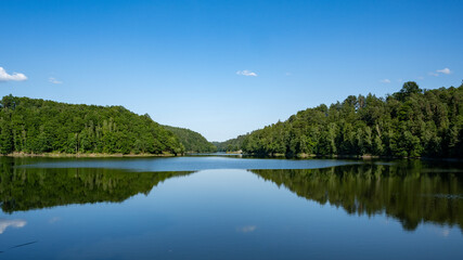 Tranquil Forest Lake: Serene Waters Reflecting Dense Greenery Under a Clear Blue Sky, Capturing the Peaceful and Picturesque Natural Beauty of the Pristine, Lush Wilderness