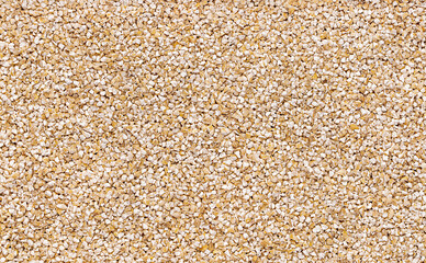 Macro photography of raw barley groats, cereal,  grain, hulled barley, natural healthy vegan food, dietary fiber