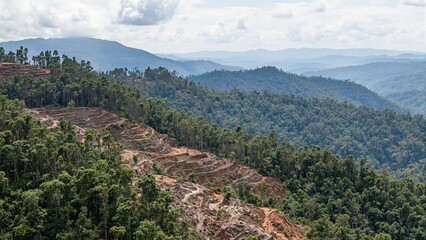 Fototapeta premium Aerial view of deforestation in mountains with barren terraced slopes contrasted by lush green peaks in the distance