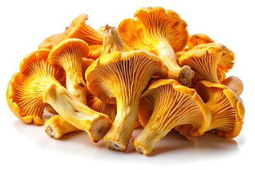 mushrooms isolated on white background