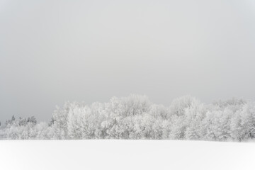 Minimalist winter background, snowy landscape with copy space