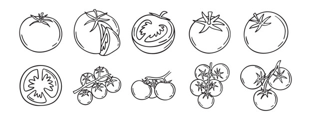 Tomato vegetable sketch doodle hand drawn icon set. Outline drawing fresh tomato line clipart symbol