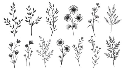grass and flowers vector