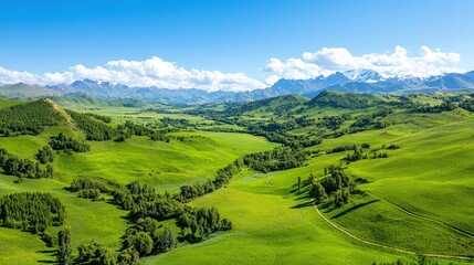 Obraz premium Lush green valley landscape with mountains under a clear blue sky.