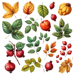 A collection of leaves and fruit, including apples, pears, and berries