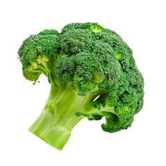A large head of broccoli is shown in its entirety