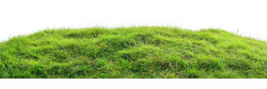 Banner grass field for composition isolated on background with mask. 3d rendering - illustration

