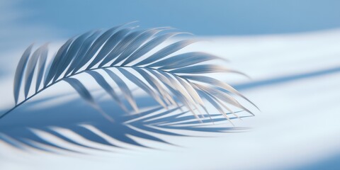 Close-up of a palm leaf casting delicate shadows on a smooth light blue background in soft natural light