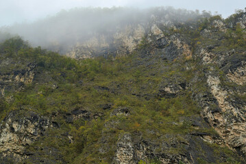 A rugged cliff shrouded in an ethereal mist reveals layers of geological history and tenacious vegetation. The damp air hangs heavy, softening the sharp edges of the rock formations.