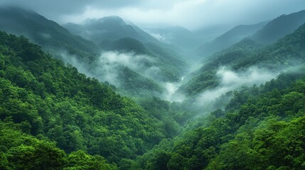 A serene and lush green valley nestled between majestic mountains under a misty sky, showcasing nature's untouched beauty