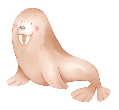 ilustracion de lobo marino morsa pintado en acuarela, estilo infantil