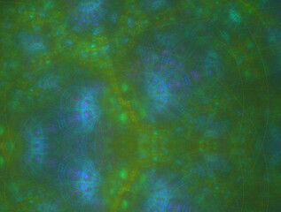 Imaginatory fractal abstract background Image
