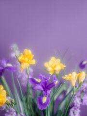Vibrant floral arrangement on a purple background with dreamy pastel spring vibe, soft focus