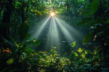 Obraz premium Sunlight rays breaking through green layers of rainforest foliage lush jungle photography vibrant nature serene environment