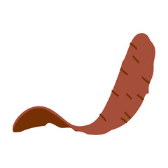 Peeled potato skin . Vector illustration isolated on white the background