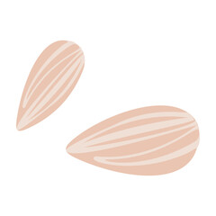 Vector Illustration of Almond Nut in Cartoon Flat Style. Delicious Tasty Almond Snack, Raw Almonds. Crunchy Almond Nuts on White.