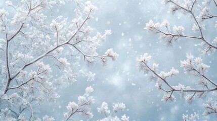 Naklejka premium Frosty Branches Winter Wonderland Scene