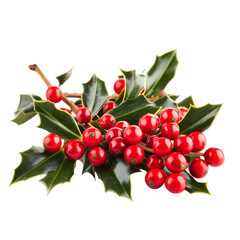 Obraz premium Festive Holly Berries Branch Christmas Decoration Winter Holiday Red Berries Green Lea