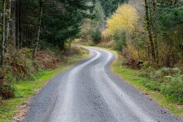 Fototapeta premium slim unpaved gravel road twisting away