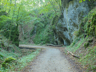 Bad Urach, Germany - October 2nd 2023: Beautiful forest track leading through a small valley with rocks.