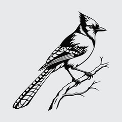 Blue jay bird image silhouette vector art and illustration