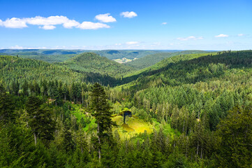 Beautiful landscape panorama showing forested mountain ridges of the German Black Forest during summer.