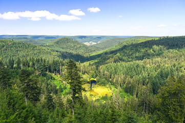 Beautiful landscape panorama showing forested mountain ridges of the German Black Forest during summer.