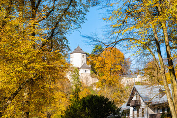 Obraz premium View of castle in autumn fall colors of trees in Ojcow National Park, Poland
