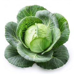 Obraz premium Green cabbage with large, vibrant leaves, isolated on a white background, showcasing its freshness and texture