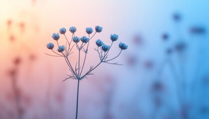 Delicate Wildflower Silhouette Against Soft Pastel Background