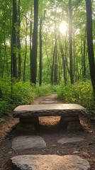 Natural stone bench along a woodland path surrounded by lush greenery and tall trees