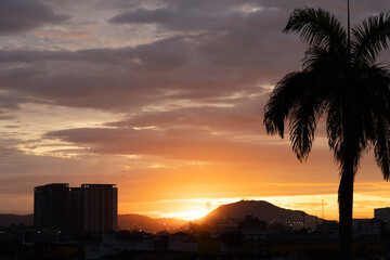 sunset sunrise over the city with buildings and palmtree