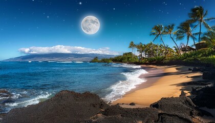 this photo illustration depicts a quiet and romantic moonlit beach in maui hawaii
