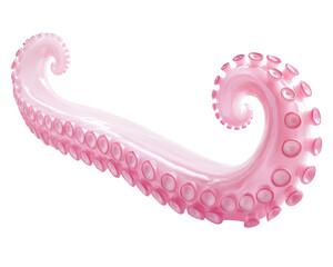 Isolated Pink Octopus Tentacle