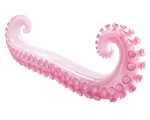 Isolated Pink Octopus Tentacle