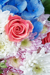 Vibrant Bouquet Featuring Pink Roses and Blue Hydrangeas with Dew