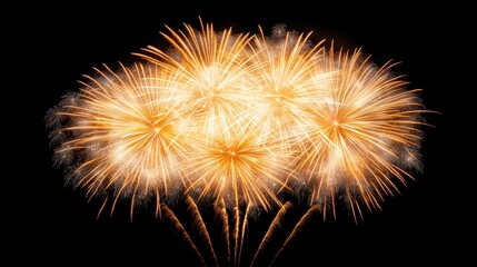 Fototapeta premium Fireworks on black background. 