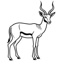 Impala vector with a white background