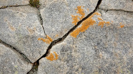 Obraz premium Cracked Rock Surface With Orange Lichen Growth