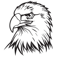 Detailed illustration of a majestic eagle with sharp features and striking eyes
