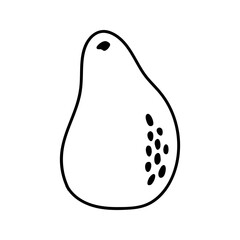 Summer whole avocado. Hand drawn doodle fruit illustration.