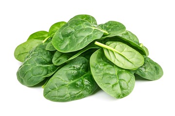 Fototapeta premium spinach isolated on white background 