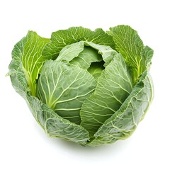 Obraz premium cabbage isolated on white background 