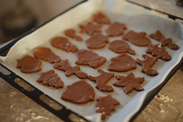Woman  Baking Christmas Gingerbread Cookies in a Sunny Kitchen 