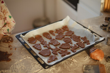 Woman  Baking Christmas Gingerbread Cookies in a Sunny Kitchen 