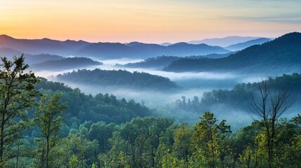 Serene Sunrise Over Misty Hills and Lush Green Forest Landscape