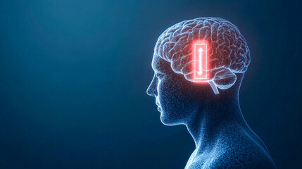 Obraz premium Human brain with battery symbol highlighted on transparent 3d rendered male profile
